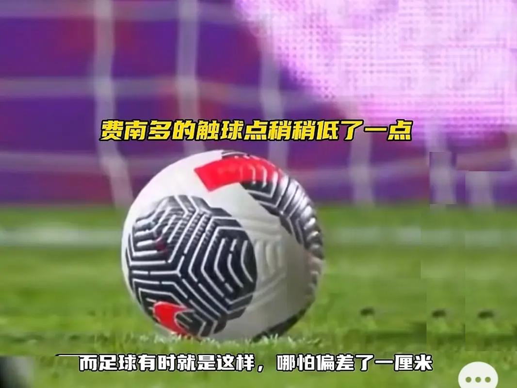 尼队